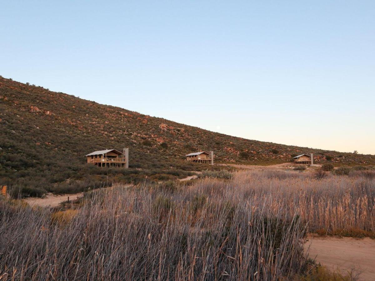 فيلا Africamps At Karoo 1 De Doorns المظهر الخارجي الصورة
