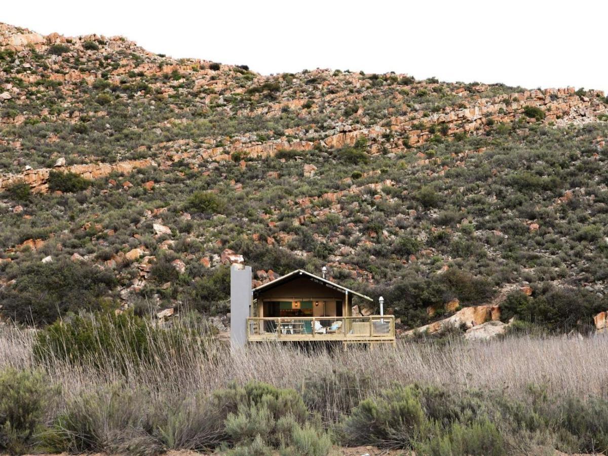 فيلا Africamps At Karoo 1 De Doorns المظهر الخارجي الصورة